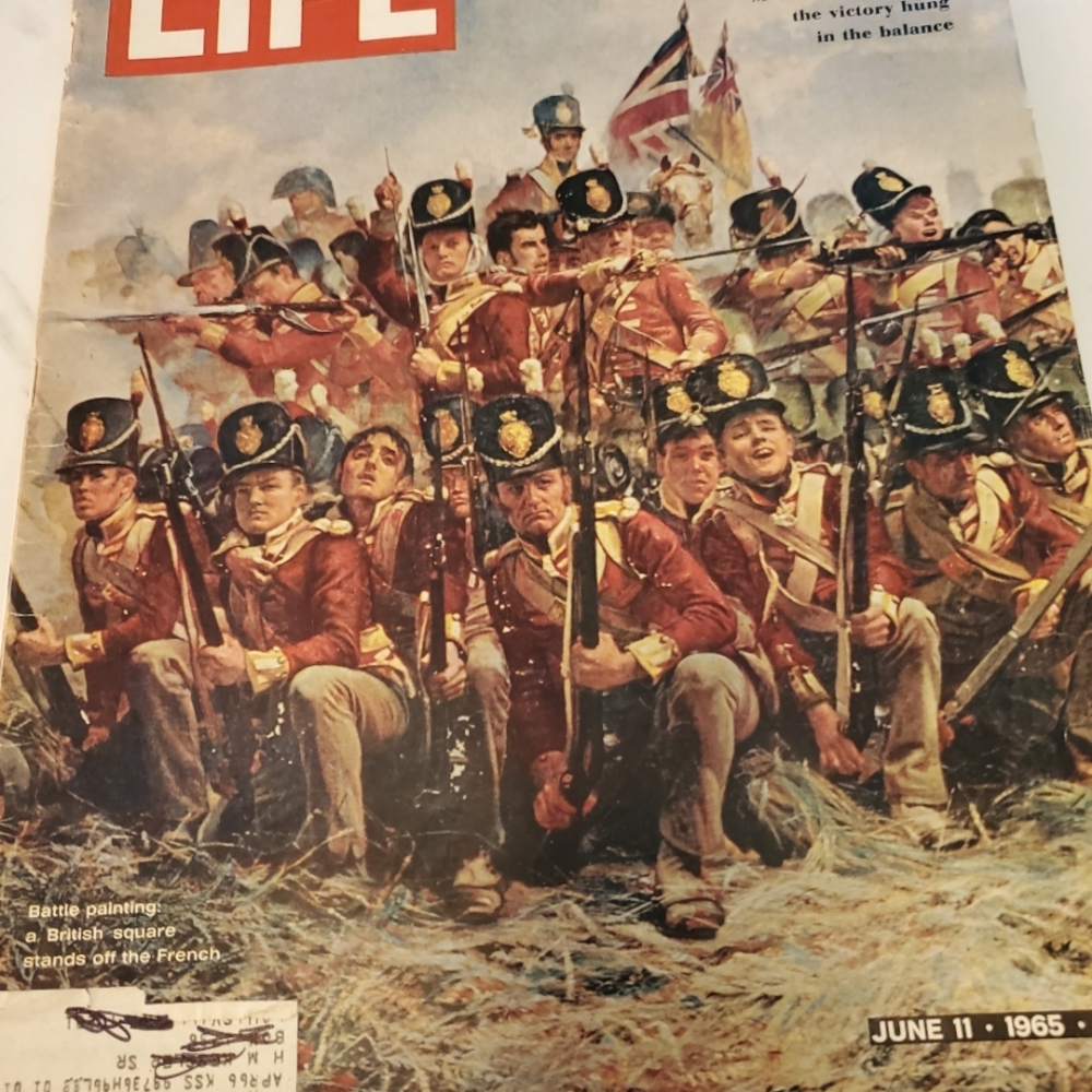 Life Magazine JUNE 11,1965